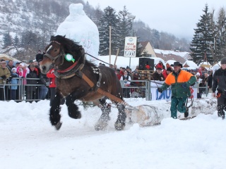 Preteky gazdovských koní-156