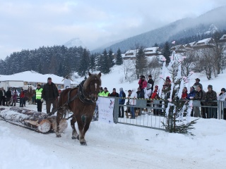 Preteky gazdovských koní-171