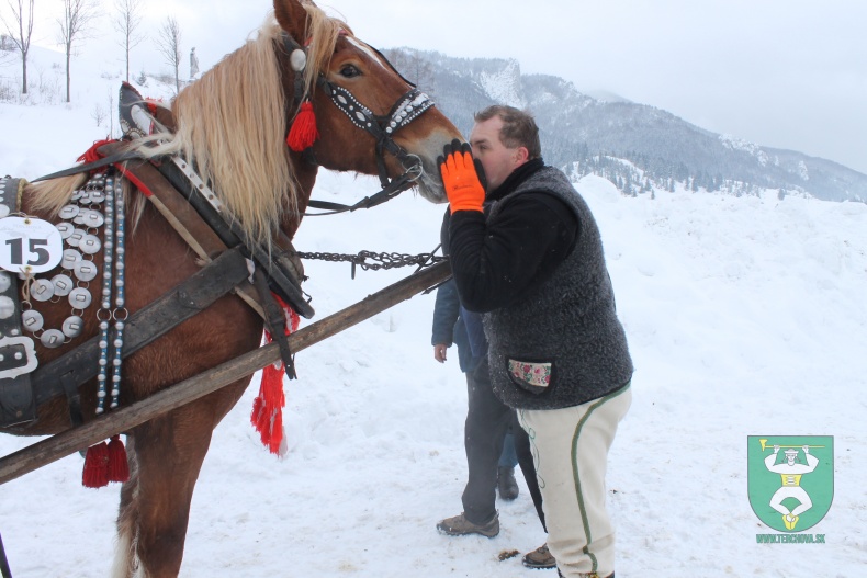 Preteky gazdovských koní-26