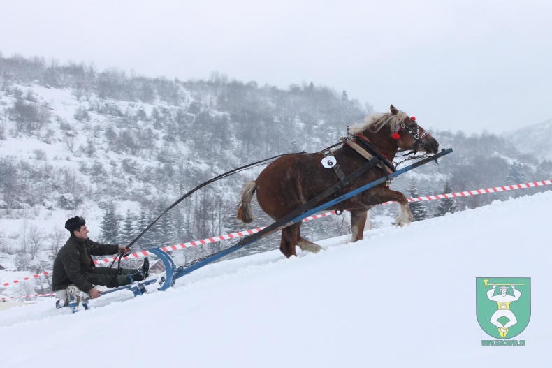 Preteky gazdovských koní-10