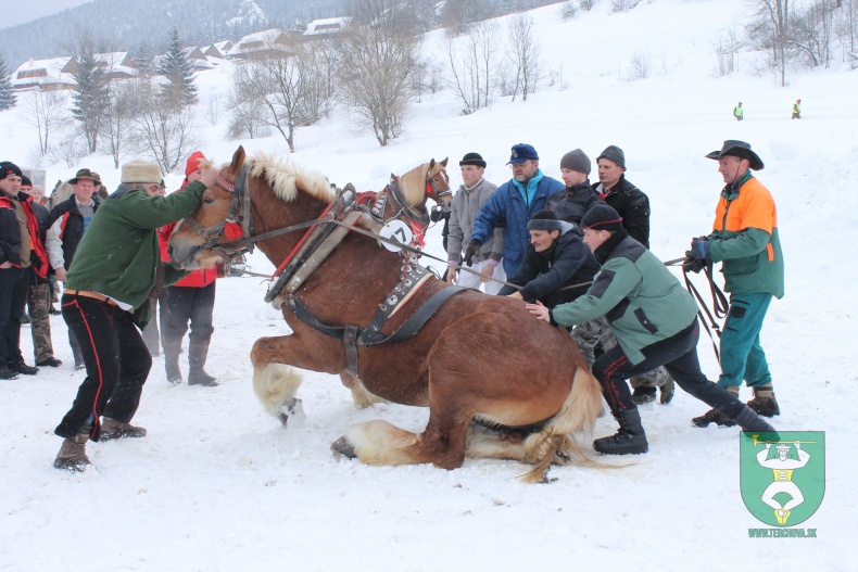 Preteky gazdovských koní-30