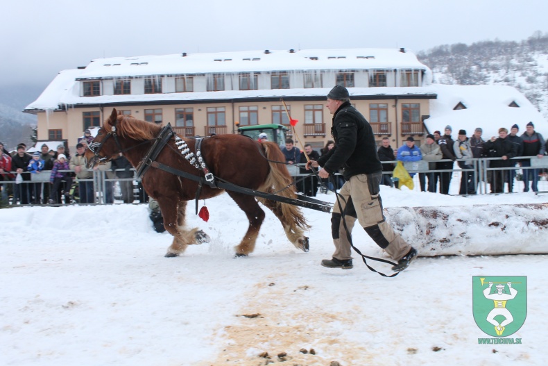 Preteky gazdovských koní-159