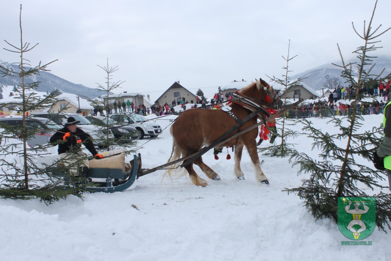 Preteky gazdovských koní-40