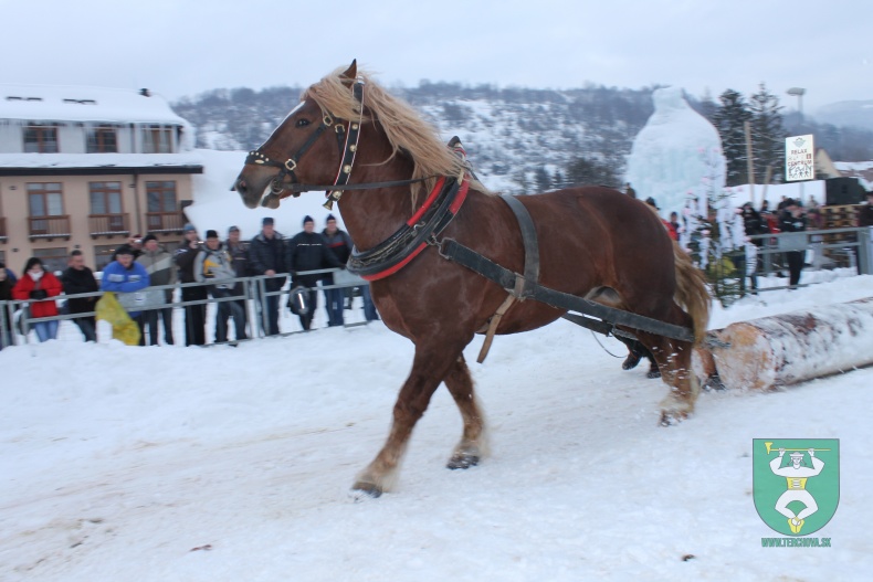Preteky gazdovských koní-173