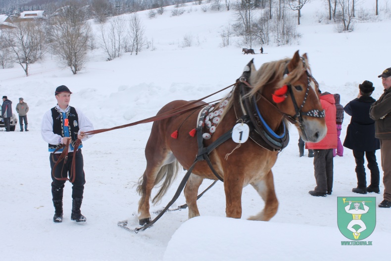 Preteky gazdovských koní-2