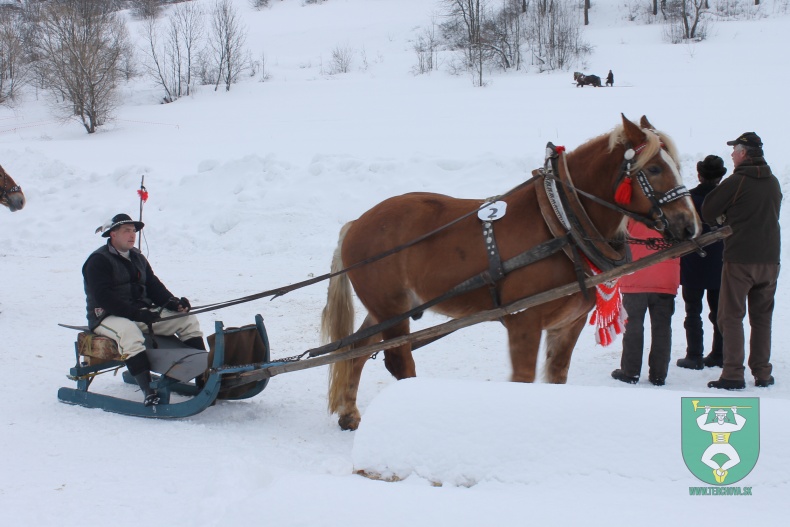 Preteky gazdovských koní