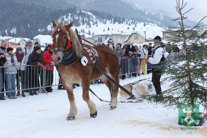 Preteky gazdovských koní-142