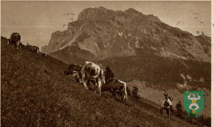 Historické fotografie-29