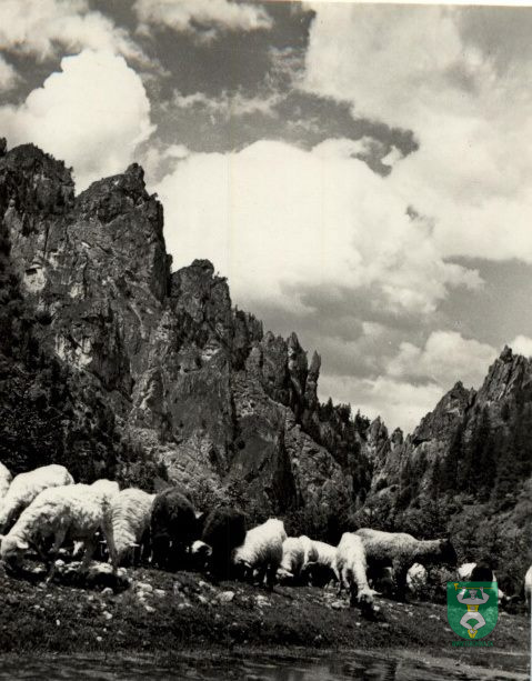 Historické fotografie-11