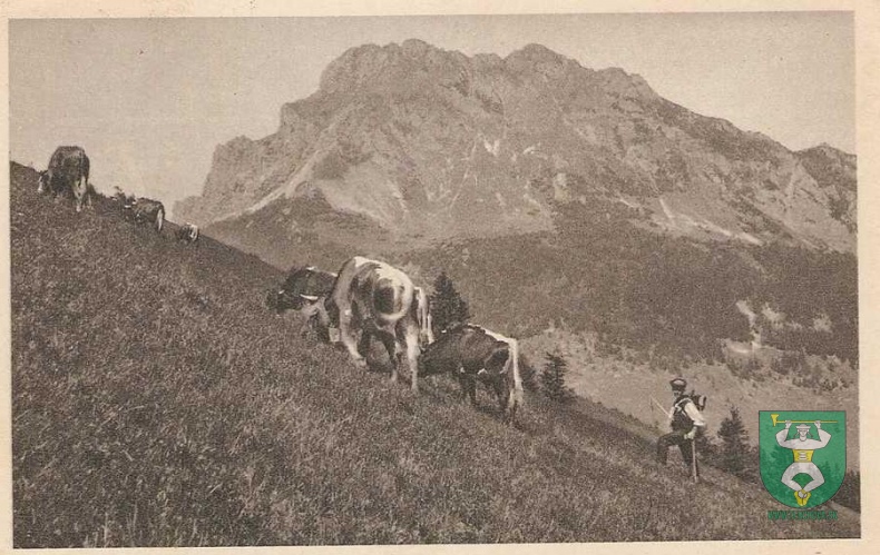 Historické fotografie-45