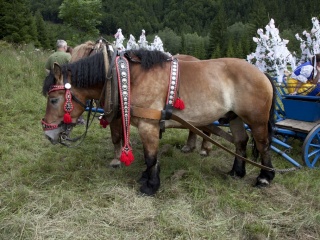 Jánošíkove dni 2012-45