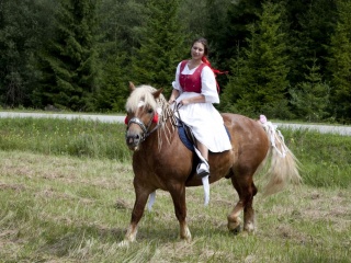 Jánošíkove dni 2012-53