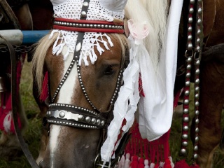 Jánošíkove dni 2012-49