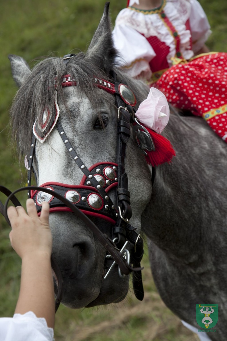 Jánošíkove dni 2012-18