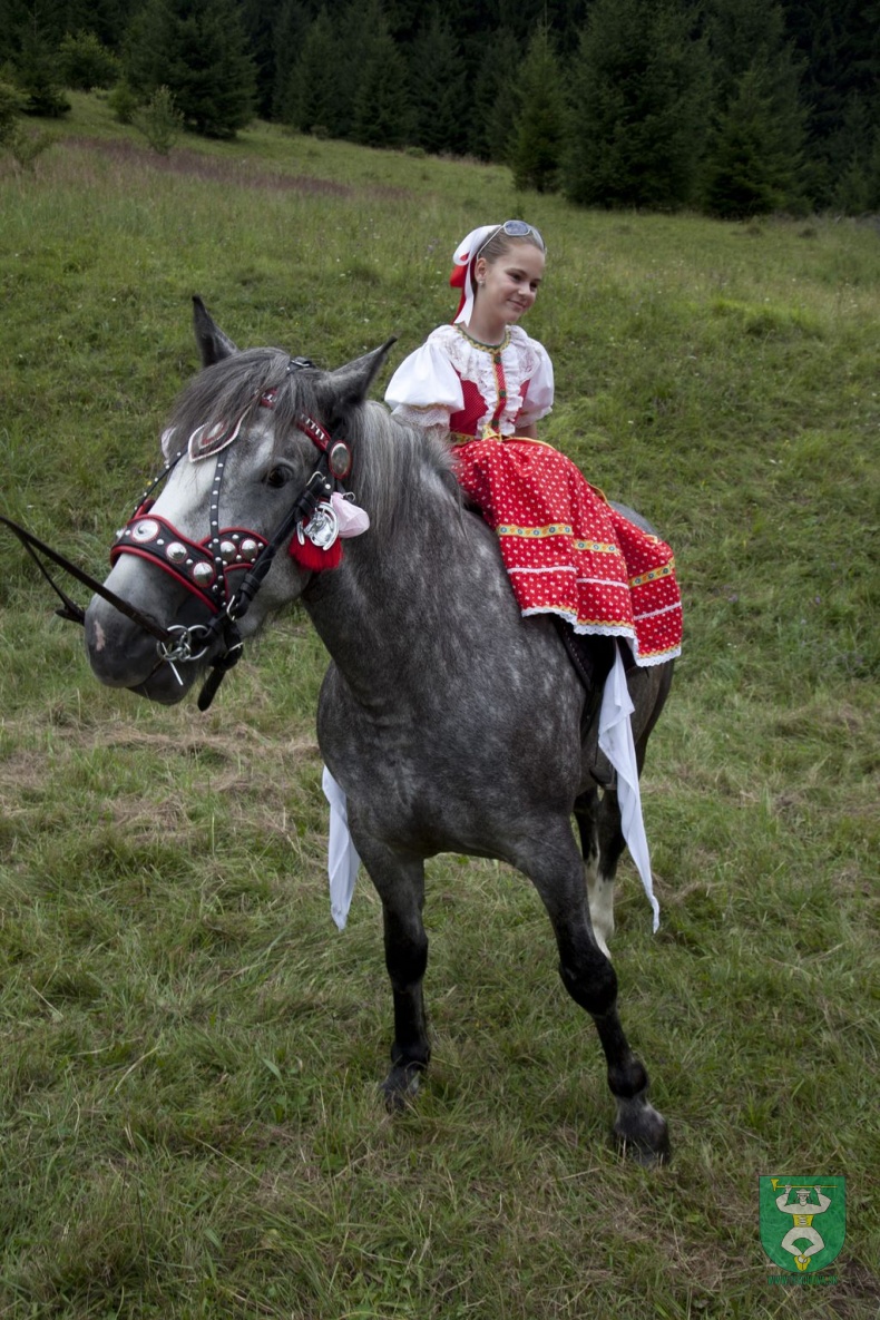 Jánošíkove dni 2012-17