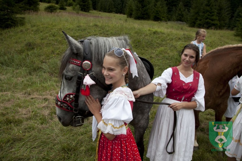 Jánošíkove dni 2012-14