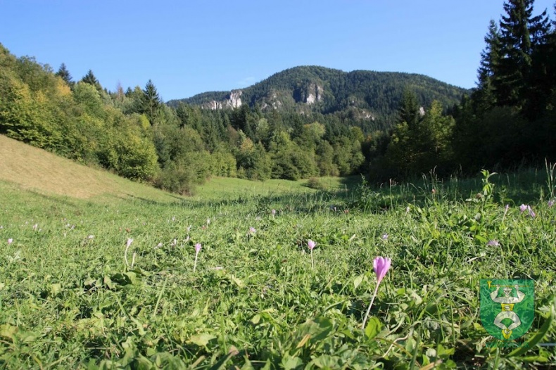 Heligonkári na Veľkom Rozsutci-21