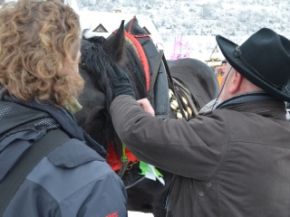Preteky gazdovských koní 2013-27