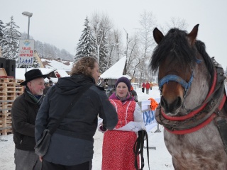 Preteky gazdovských koní 2013-42