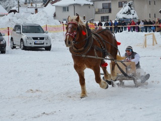Preteky gazdovských koní 2013-9
