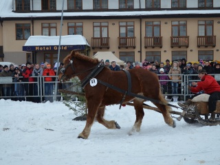 Preteky gazdovských koní 2013-12