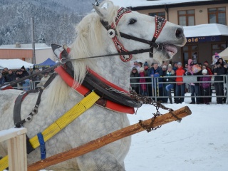 Preteky gazdovských koní 2013-13