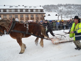 Preteky gazdovských koní 2013-39