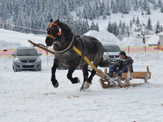 Preteky gazdovských koní 2013-8