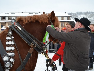 Preteky gazdovských koní 2013-32