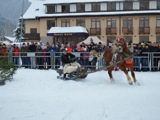 Preteky gazdovských koní 2013-15