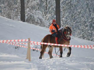 Preteky gazdovských koní 2013-5