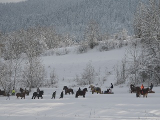 Preteky gazdovských koní 2013-4