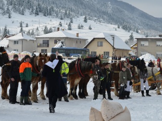 Preteky gazdovských koní 2013-2