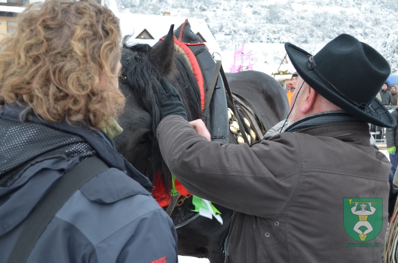Preteky gazdovských koní 2013-27