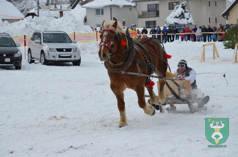 Preteky gazdovských koní 2013-9