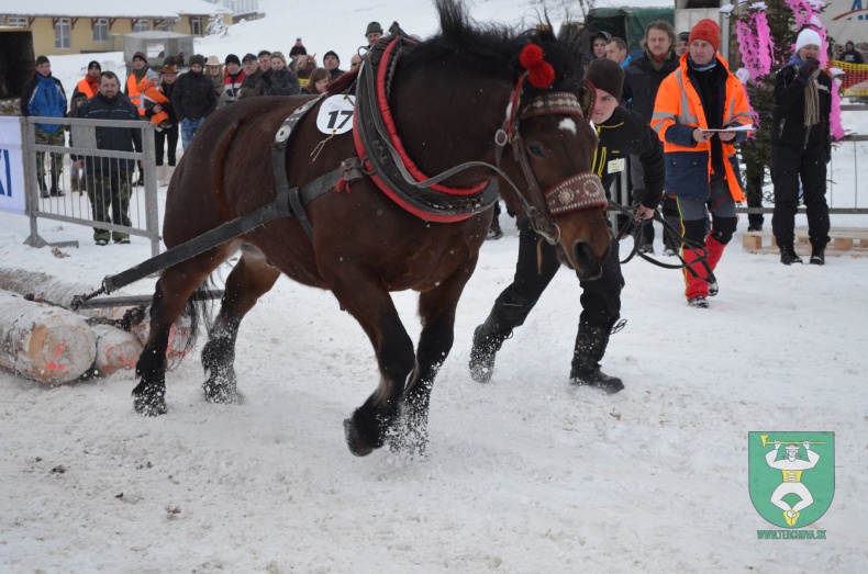Preteky gazdovských koní 2013-41