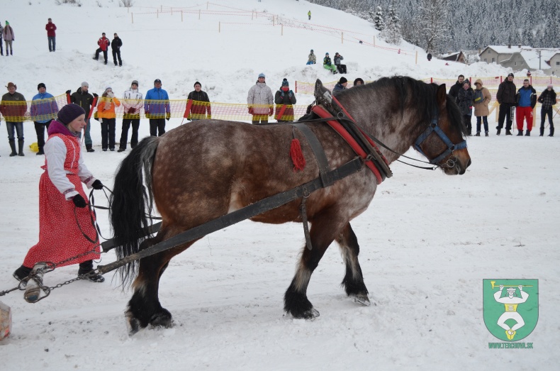 Preteky gazdovských koní 2013-40