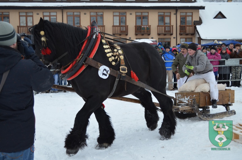 Preteky gazdovských koní 2013-14