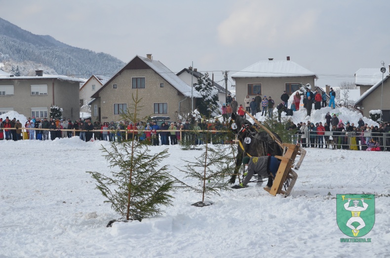 Preteky gazdovských koní 2013-7