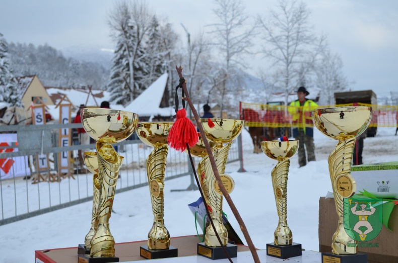 Preteky gazdovských koní 2013-11