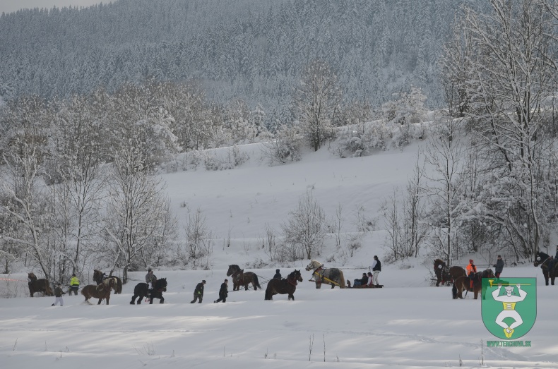 Preteky gazdovských koní 2013-4