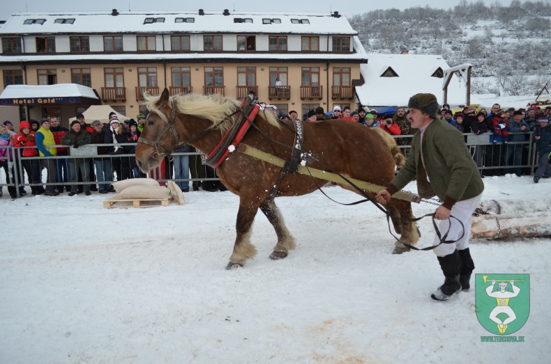 Preteky gazdovských koní 2013-36