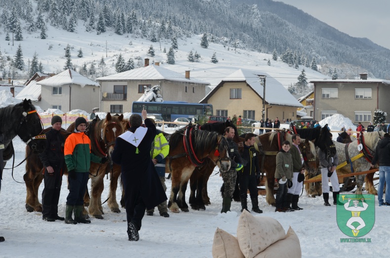 Preteky gazdovských koní 2013-2