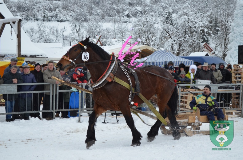 Preteky gazdovských koní 2013-16