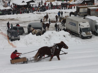 Preteky gazdovských koní 2013-71