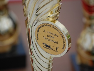 Preteky gazdovských koní 2013-25