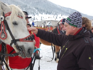 Preteky gazdovských koní 2013-57