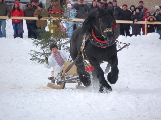 Preteky gazdovských koní 2013-21