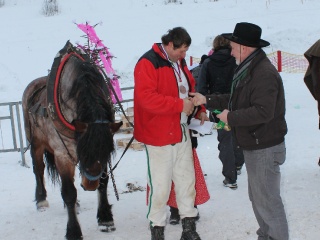 Preteky gazdovských koní 2013-82