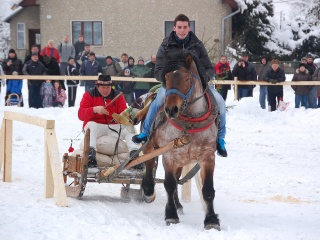 Preteky gazdovských koní 2013-36